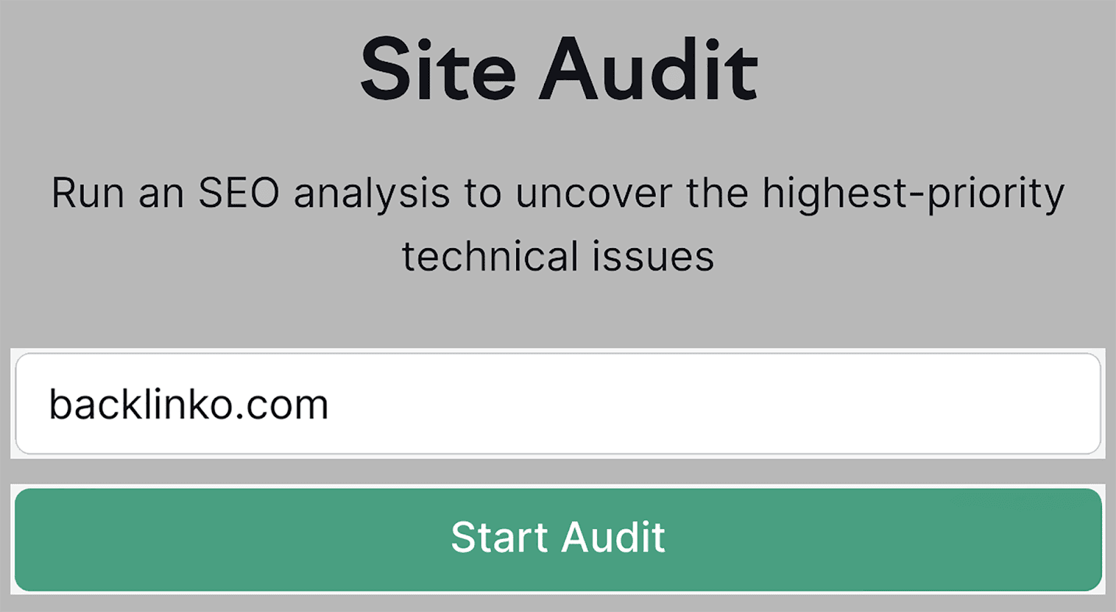 Enter domain and start audit Enter domain and start audit