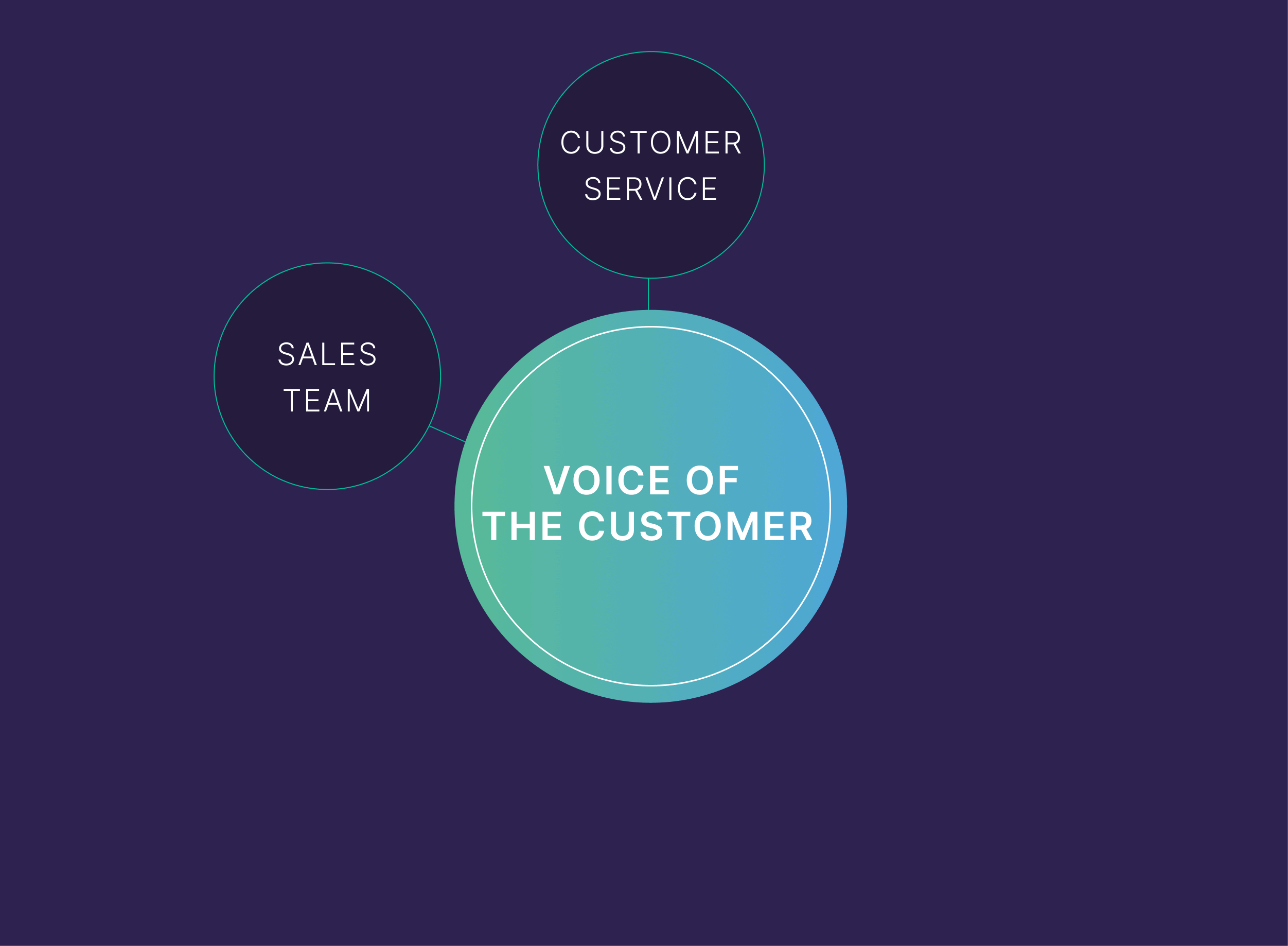 Voice of the customer – Customer service Voice of the customer – Customer service